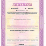 лицензия 2020-1 (2)