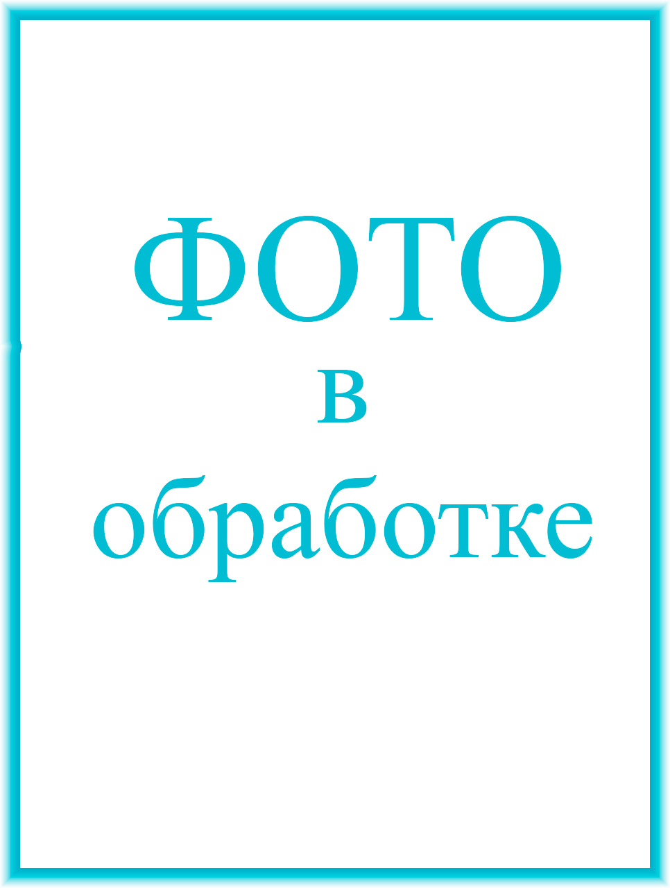 Тер-Саркисова Елена Александровна